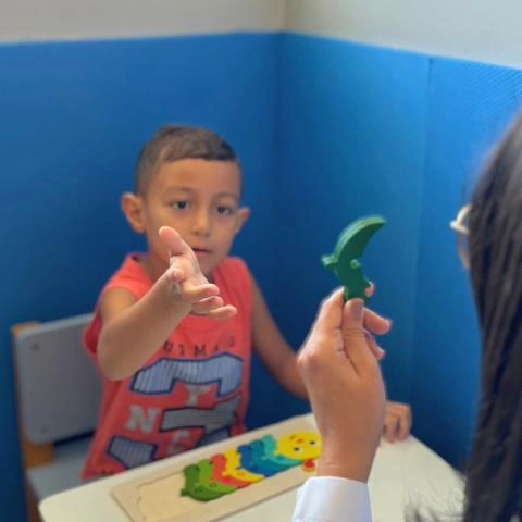 Método aba para autismo em Alagoas