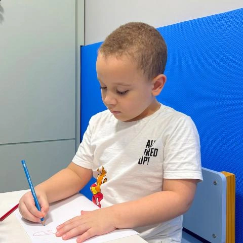 Psicopedagogia educacional